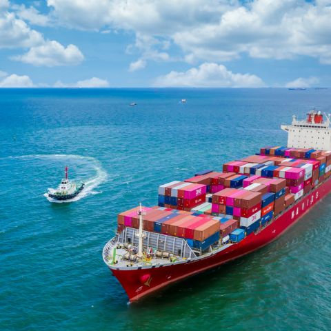 global export & shipping